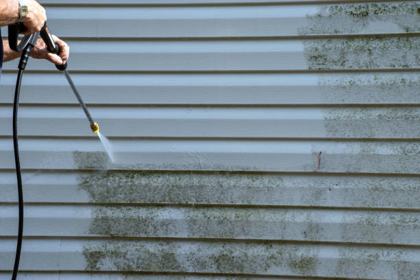 Professional Siding Services in Asbury, IA